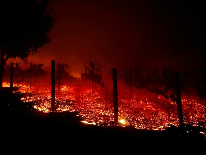 California forest fired damaged  ਕੈਲੇਫੋਰਨੀਆ 'ਚ ਭਿਆਨਕ ਅੱਗ, ਲੱਖਾਂ ਏਕੜ ਜੰਗਲ ਸੜ ਕੇ ਸੁਆਹ, ਸੈਂਕੜੇ ਘਰ ਤਬਾਹ