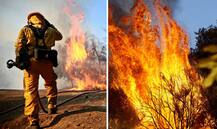 ਕੈਲੀਫੋਰਨੀਆ ਦੇ ਜੰਗਲਾਂ ‘ਚ ਭਿਆਨਕ ਅੱਗ ਨੇ ਮਚਾਈ ਤਬਾਹੀ, ਵੇਖੋ ਤਸਵੀਰਾਂ