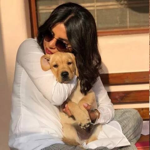 ਇਸ ਤੋਂ ਪਹਿਲਾਂ ਪ੍ਰਿਯੰਕਾ ਤੇ ਫਰਹਾਨ ਅਖ਼ਤਰ ਦੀਆਂ ਕੁਝ ਤਸਵੀਰਾਂ ਵਾਇਰਲ ਹੋਈਆਂ ਸਨ। ਦਿੱਲੀ ਦੇ ਪ੍ਰਦੂਸ਼ਣ ਤੋਂ ਬਚਣ ਲਈ ਉਨ੍ਹਾਂ ਮਾਸਕ ਪਾਏ ਹੋਏ ਸਨ।