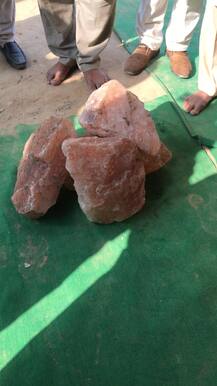 ਬਰਗਾੜੀ ਮੋਰਚੇ ਨੂੰ ਨਹੀਂ ਸਰਕਾਰ \'ਤੇ ਯਕੀਨ, ਵਾਅਦਾ ਖ਼ਿਲਾਫ਼ੀ ਰੋਕਣ ਲਈ ਖੁਆਇਆ ਜਾਏਗਾ \'ਪੰਥਕ ਨਮਕ\'