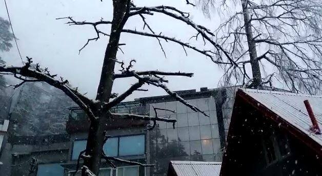 ਸ਼ਿਮਲਾ ‘ਚ ਇਨ੍ਹਾਂ ਸਰਦੀਆਂ ਦੀ ਪਹਿਲੀ ਬਰਫ਼ਬਾਰੀ ਹੋ ਗਈ ਹੈ। ਹਲਕੀ ਬਰਫ਼ਬਾਰੀ ਨੇ ਮੌਸਮ ਦਾ ਮਿਜਾਜ਼ ਹੀ ਬਦਲ ਦਿੱਤਾ ਹੈ।