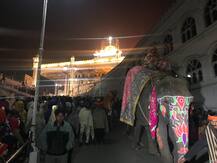 ਕਿਲ੍ਹਾ ਆਨੰਦਗੜ੍ਹ ਤੋਂ ਹਾਥੀ, ਘੋੜੇ ਤੇ ਊਠਾਂ ਸਮੇਤ ਖ਼ਾਲਸਾਈ ਜਾਹੋ-ਜਲਾਲ ਨਾਲ ਸੱਜਿਆ ਨਗਰ ਕੀਰਤਨ, ਵੇਖੋ ਤਸਵੀਰਾਂ