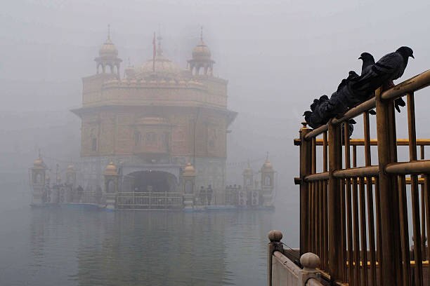 cold wave continues in Punjab and neighbouring states, amritsar and adampur recorded 0.4 degree Celsius temp  ਸੀਤ ਲਹਿਰ ਨੇ ਫੜਿਆ ਜ਼ੋਰ, ਪੰਜਾਬ 'ਚ ਪਾਰਾ ਜ਼ੀਰੋ ਡਿਗਰੀ ਨੇੜੇ ਪੁੱਜਾ