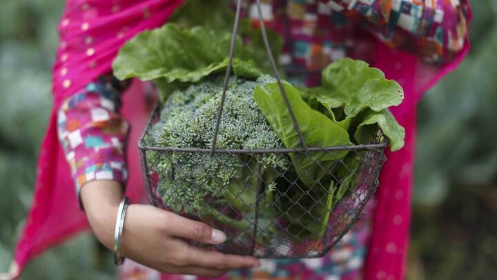 ਐਨਜ਼ੈਡ ਗਾਰਡਨਰ ਰਸਾਲੇ ਵਿੱਚ ਲੇਖਕ ਮੇਈ ਲੇਂਗ ਵੌਂਗ ਦੇ ਲੇਖ