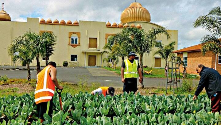 ਖੇਤਾਂ ਤੋਂ ਸਾਰੀ ਪੈਦਵਾਰ ਦਾ ਧਿਆਨ ਰੱਖਣ ਲਈ ਸੀਨੀਅਰ ਸੁਪਰਵਾਈਜ਼ਰ ਡੇਵਿਡ ਚੰਦਰ ਤੇ ਉਨ੍ਹਾਂ ਦੇ ਸਹਾਇਕ ਵਿੱਲਮੀ ਤੁਈਪੁਲੋਟੂ ਵੀ ਹਾਜ਼ਰ ਰਹਿੰਦੇ ਹਨ। ਹਰ ਧਰਮ ਦੇ ਲੋਕਾਂ ਵੀ ਸ਼ਮੂਲੀਅਤ ਨਾਲ ਤਿਆਰ ਲੰਗਰ ਸਿੱਖੀ ਸਿਧਾਂਤਾਂ ਦੇ ਮੁਤਾਬਕ ਬਗ਼ੈਰ ਕਿਸੇ ਭੇਦਭਾਵ ਦੇ ਪ੍ਰੇਮ ਭਾਵ ਨਾਲ ਛਕਾਇਆ ਜਾਂਦਾ ਹੈ। ਇਸ ਵਰਤਾਰੇ ਨੂੰ ਦੇਖ ਸਥਾਨਕ ਲੋਕ ਅਕਸਰ ਅਚੰਭੇ ਵਿੱਚ ਆ ਜਾਂਦੇ ਹਨ।