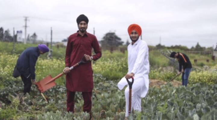 ਗੁਰੂ ਘਰ ਦੇ ਸੇਵਾਦਾਰ ਦਲਜੀਤ ਸਿੰਘ ਨੇ ਦੱਸਿਆ ਕਿ ਲੰਗਰ ਤਿਆਰ ਕਰਨ ਲਈ 200 ਲੀਟਰ ਤਕ ਦੇ ਸਨਅਤੀ ਪੱਧਰ 'ਤੇ ਭੋਜਨ ਤਿਆਰ ਕੀਤਾ ਜਾਂਦਾ ਹੈ। ਉਨ੍ਹਾਂ ਦੱਸਿਆ ਕਿ ਪਿਛਲੀ ਦੀਵਾਲੀ ਮੌਕੇ 25,000 ਤੋਂ ਵੱਧ ਲੋਕਾਂ ਨੇ ਲੰਗਰ ਛੱਕਿਆ, ਜਿਸ ਨੂੰ ਤਿਆਰ ਕਰਨ ਲਈ 700 ਕਿੱਲੋ ਆਟਾ, 600 ਕਿੱਲੋ ਚੌਲ ਤੇ 8,000 ਸ਼ਾਕਾਹਾਰੀ ਬਰਗਰ ਵੀ ਲੱਗੇ।