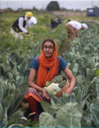 ਇੰਨਾ ਹੀ ਨਹੀਂ ਗੁਰਦੁਆਰੇ ਦੇ ਖੇਤਾਂ ਵਿੱਚ 11 ਏਕੜ ਵਿੱਚ ਫੈਲਿਆ ਵੱਖਰਾ ਬਾਗ਼ ਵੀ ਹੈ ਜਿਸ ਵਿੱਚ 500 ਫਲਾਂ ਤੇ ਮੇਵਿਆਂ ਦੇ ਦਰੱਖ਼ਤ ਹਨ।