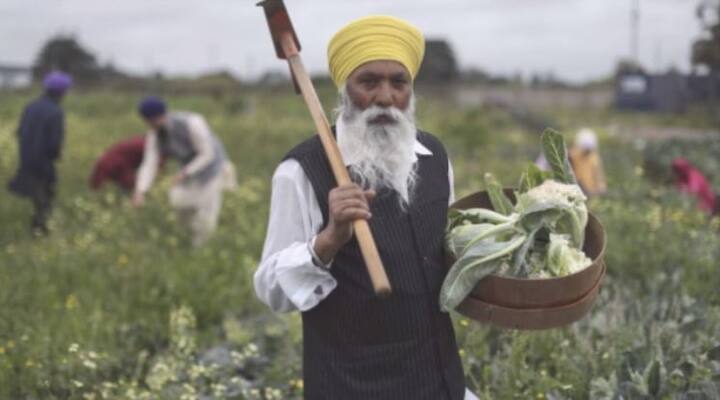 ਇਨ੍ਹਾਂ ਵਿੱਚੋਂ ਨਿੰਬੂ ਤੇ ਹੋਰ ਖਟਾਸ ਵਾਲੇ ਫਲ, ਪਲੱਮ ਤੇ ਸੇਬ ਆਦਿ ਉਗਾਏ ਜਾਂਦੇ ਹਨ। ਹਾਲੇ ਪਿਛਲੇ ਹੀ ਹਰ ਤਰ੍ਹਾਂ ਦੇ ਮੇਵਿਆਂ ਦੇ ਦਰੱਖ਼ਤ ਲਾਏ ਹਨ, ਜਿਨ੍ਹਾਂ ਤੋਂ ਜਲਦੀ ਹੀ ਫਲ ਪ੍ਰਾਪਤ ਕੀਤਾ ਜਾਣ ਲੱਗੇਗਾ।