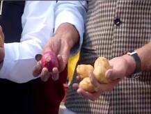 ਪੰਜਾਬ ਕਾਂਗਰਸ ਨੇ ਸੰਸਦ \'ਚ ਲਾਈ ਆਲੂਆਂ ਦੀ ਫੜ੍ਹੀ, ਹੋਰ ਪਾਰਟੀਆਂ ਨੇ ਵੀ ਲਿਆ ਹਿੱਸਾ