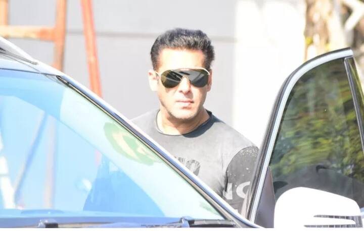 ਸਲਮਾਨ ਤੇ ਯੂਲੀਆ ਅਕਸਰ ਇਕੱਠੇ ਵੇਖੇ ਜਾਂਦੇ ਹਨ।