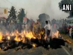 ਇਹ ਕਿਹੋ ਜਿਹੀ ਧਾਰਮਿਕ ਆਸਥਾ ਕਿ ਲੋਕ ਦੁਧਾਰੂ ਪਸ਼ੂਆਂ ਤੋਂ ਪਾਰ ਕਰਵਾਉਂਦੇ ਅੱਗ ਦੇ ਦਰਿਆ, ਦੇਖੋ ਵੀਡੀਓ