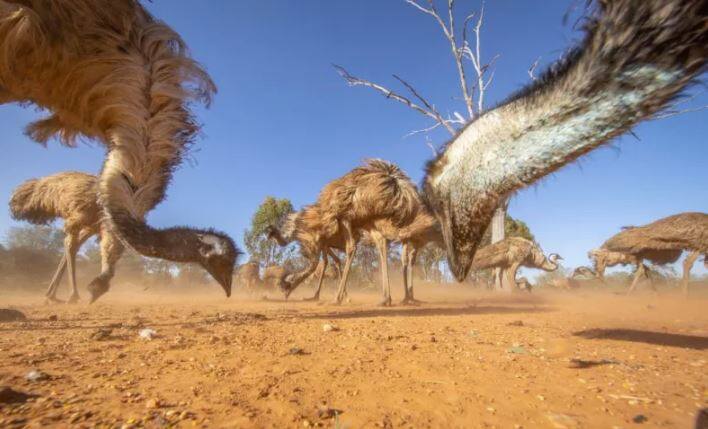 ਵਾਤਾਵਰਣ ਡਾਇਰੈਕਟਰ ਰਿਚਰਡ ਬੂਰਮ ਨੇ ਇੱਕ ਪ੍ਰੈੱਸ ਕਾਨਫਰੰਸ ‘ਚ ਕਿਹਾ, “ਓਜ਼ੋਨ ਦਾ ਪੱਧਰ ਇਨਡੋਰ ਦੇ ਮੁਕਾਬਲੇ ਆਊਟਡੋਰ ਜ਼ਿਆਦਾ ਹੁੰਦਾ ਹੈ। ਇਹ ਆਮ ਤੌਰ ‘ਤੇ ਦੁਪਹਿਰ ਤੇ ਸ਼ਾਮ ਨੂੰ ਸਭ ਤੋਂ ਜ਼ਿਆਦਾ ਹੁੰਦਾ ਹੈ।”