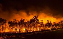 ਅੱਗ ਭਾਂਬੜ ਬਣਿਆ ਆਸਟ੍ਰੇਲੀਆ, ਪਾਰਾ 50 ਡਿਗਰੀ ਸੈਲਸੀਅਸ ਤੋਂ ਪਾਰ