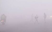 ਠੰਢ ਨੇ ਕੱਢੇ ਵੱਟ, ਸੰਘਣੀ ਧੁੰਦ ਕਰਕੇ ਲੱਗੀ ਜ਼ਿੰਦਗੀ ਨੂੰ ਬ੍ਰੇਕ