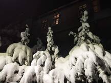 ਬਰਫਬਾਰੀ ਤੋਂ ਬਾਅਦ ਰਾਤ ਨੂੰ ਕੁਝ ਅਜਿਹਾ ਨਜ਼ਰ ਆਇਆ ਸ਼ਿਮਲਾ, ਵੋਖੋ ਤਸਵੀਰਾਂ