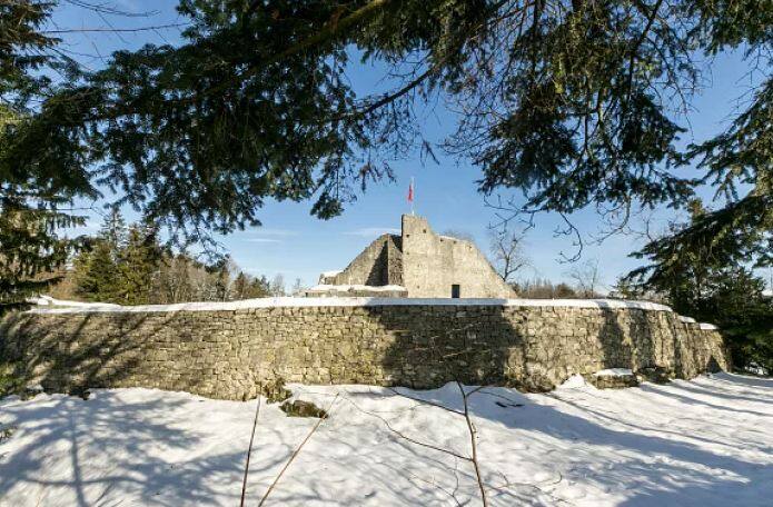 300 ਸਾਲ ਪਹਿਲਾਂ ਵਡੂਜ ਦੇ ਸ਼ਾਇਰ ਤੇ ਸਕੈਲੇਨਬਰਗ ਦੇ ਰੋਮਨ ਰਾਜਾ ਚਾਰਲਜ਼-VI ਦੇ ਡਿਕੈਂਸਟੀਨ ਸਿਧਾਂਤ ਨਾਲ ਇਸ ਦੇਸ਼ ਨੂੰ ਇੱਕਜੁੱਟ ਕੀਤਾ ਸੀ। 