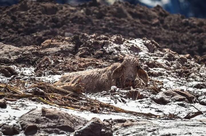 ਖੋਜ ਅਭਿਆਨ ਲਈ ਜ਼ਮੀਨੀ ਤੇ ਹਵਾਈ ਸੇਵਾਵਾਂ ਲਈਆਂ ਜਾ ਰਹੀਆਂ ਹਨ। ਜ਼ਮੀਨ ’ਤੇ ਕੰਮ ਕਰ ਰਹੇ ਅਧਿਕਾਰੀਆਂ ਨੂੰ ਚਿੱਕੜ ਜਮ੍ਹਾ ਹੋਣ ਕਰਕੇ ਪ੍ਰੇਸ਼ਾਨੀ ਹੋ ਰਹੀ ਹੈ। ਉਨ੍ਹਾਂ ਦੀ ਸਹੂਲਤ ਲਈ ਹੈਲੀਕਾਪਟਰ ਤਾਇਨਾਤ ਕੀਤੇ ਗਏ ਹਨ।