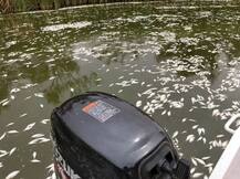 ਆਸਟ੍ਰੇਲੀਆ ਤੋਂ ਆਈਆਂ ਦਿਲ ਕੰਬਾਉਣ ਵਾਲੀਆਂ ਤਸਵੀਰਾਂ