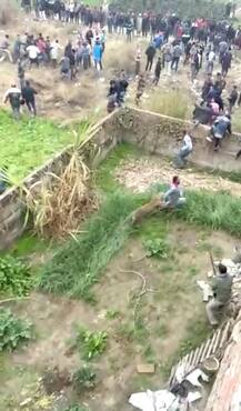 ਜਲੰਧਰ \'ਚ ਆਣ ਵੜਿਆ ਤੇਂਦੂਆ, ਲੋਕਾਂ ਨੂੰ ਪਾਈਆਂ ਭਾਜੜਾਂ