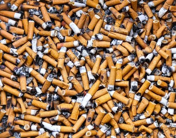 ਤੰਬਾਕੂ ਤੋਂ ਦੂਰ ਰਹੇ ਤੇ ਘਰ ਵਿੱਚ ਵੀ ਇਸ ਦੀ ਵਰਤੋਂ ਨਾ ਕਰੋ ਤਾਂ ਜੋ ਘਰ ਦੇ ਹੋਰ ਜੀਅ ਇਸ ਤੋਂ ਪ੍ਰਭਾਵਿਤ ਹੋ ਕੇ ਕੈਂਸਰ ਦੀ ਚਪੇਟ ਵਿੱਚ ਨਾ ਆਉਣ। 