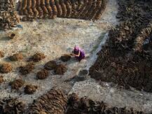 ਸਰਕਾਰੀ ਅਫਸਰ ਵੱਲੋਂ ਲੱਖਾਂ ਦਾ ਗੋਹਾ ਚੋਰੀ, ਕੇਸ ਦਰਜ