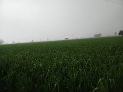 ਬਾਰਸ਼ ਨੇ ਤੋੜਿਆ 49 ਸਾਲ ਦਾ ਰਿਕਾਰਡ, ਕਿਸਾਨਾਂ ਨੂੰ ਰਗੜਾ