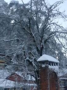 ਸ਼ਿਮਲਾ \'ਚ ਸੀਜਨ ਦੀ ਸਭ ਤੋਂ ਜ਼ਿਆਦਾ ਬਰਫਬਾਰੀ, ਵੇਖੋ ਤਸਵੀਰਾਂ