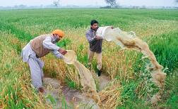 ਦੋ ਦਿਨ ਪਏ ਮੀਂਹ ਨੇ ਝੰਬੇ ਕਿਸਾਨ, ਗਿਰਦਾਵਰੀ ਦੇ ਹੁਕਮ