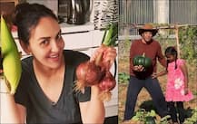 ਧਰਮਿੰਦਰ ਨੂੰ ਆਰਗੈਨਿਕ ਖੇਤੀ ਦਾ ਨਸ਼ਾ, ਧੀ ਨੂੰ ਭੇਜਦੇ ਤਾਜ਼ੀਆਂ ਸਬਜ਼ੀਆਂ, ਦੇਖੋ ਵੀਡੀਓ