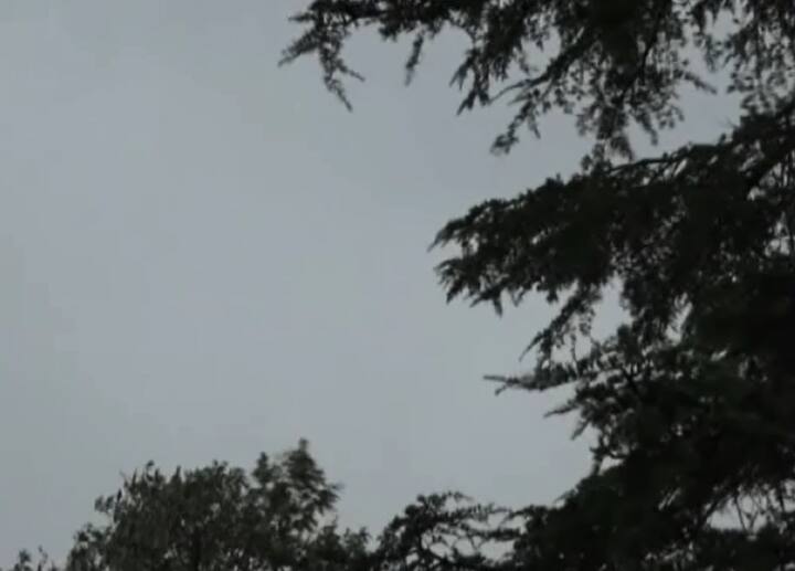 ਮੌਸਮ ਕੇਂਦਰ ਸ਼ਿਮਲਾ ਦੇ ਨਿਰਦੇਸ਼ਕ ਮਨਮੋਹਨ ਸਿੰਘ ਨੇ ਦੱਸਿਆ ਕਿ ਸ਼ਿਮਲਾ ਵਿੱਚ ਫਰਵਰੀ ਦੇ ਮਹੀਨੇ 2007 ਤੋਂ ਬਾਅਦ ਬੀਤੀ 7 ਫਰਵਰੀ ਵਾਲੇ ਦਿਨ ਸਭ ਤੋਂ ਵੱਧ ਬਰਫ਼ਬਾਰੀ ਹੋਈ।