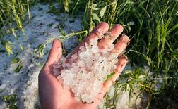 ਸਾਵਧਾਨ! ਅਗਲੇ 48 ਘੰਟਿਆਂ 'ਚ ਮੀਂਹ ਤੇ ਗੜ੍ਹੇਮਾਰੀ ਦੀ ਚੇਤਾਵਨੀ