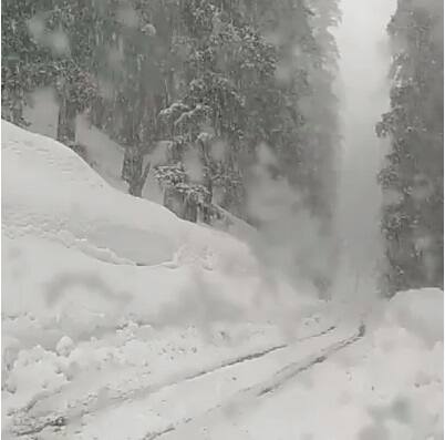 ਉੱਧਰ ਮਨਾਲੀ ਵਿੱਚ ਵੀ ਚੁਫੇਰੇ ਚਿੱਟੀ ਚਾਦਰ ਵਿਛ ਗਈ ਹੈ।