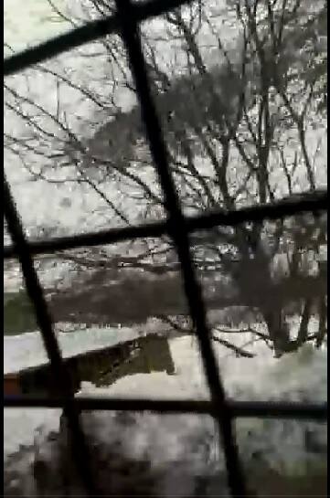 ਉਹ ਆਪਣੀ ਪਤਨੀ ਨੂੰ ਦਿਖਾ ਰਿਹਾ ਸੀ ਕਿ ਉਹ ਕਿੰਨੇ ਸੋਹਣੇ ਰਸਤੇ ਤੋਂ ਗੁਜ਼ਰ ਰਿਹਾ ਹੈ।