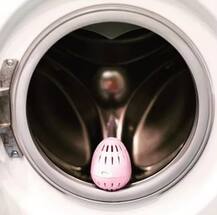 ਇਸ ਆਂਡੇ ਨਾਲ ਕੱਪੜੇ ਧੋਣ ’ਤੇ 3 ਸਾਲ ਤਕ ਨਹੀਂ ਸਰਫ਼ ਦੀ ਲੋੜ, ਜਾਣੋ ਆਂਡੇ ਦੀ ਖ਼ਾਸੀਅਤ