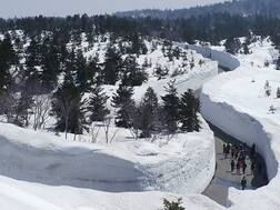 21 ਫੁੱਟ ਤਕ ਹੋਈ ਬਰਫ਼ਬਾਰੀ, ਹਟਾਉਣ ’ਤੇ 248 ਕਰੋੜ ਖ਼ਰਚ