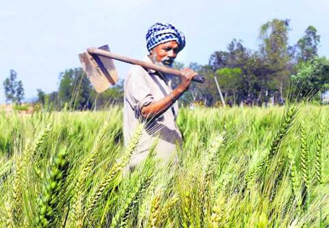 ਕਿਸਾਨਾਂ ਨੇ ਆੜ੍ਹਤੀ ਸਿਸਟਮ ਨੂੰ ਭੰਗ ਕਰਨ ਲਈ ਕੀਤੀ ਆਵਾਜ਼ ਬੁਲੰਦ ਕਿਸਾਨਾਂ ਨੇ ਆੜ੍ਹਤੀ ਸਿਸਟਮ ਨੂੰ ਭੰਗ ਕਰਨ ਲਈ ਕੀਤੀ ਆਵਾਜ਼ ਬੁਲੰਦ