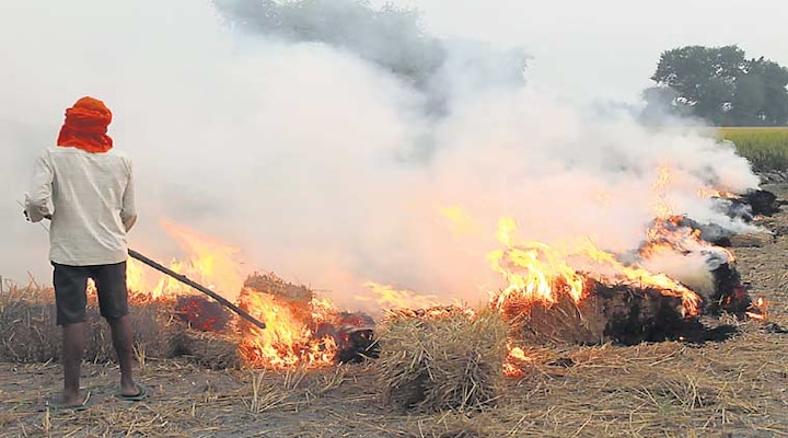 haryana agriculture department filed complaint against 35 farmers for stubble burning   ਝੋਨੇ ਦੀ ਪਰਾਲੀ ਸਾੜਨ ਵਾਲੇ 35 ਕਿਸਾਨਾਂ 'ਤੇ ਪਰਚੇ ਦਰਜ, ਖੇਤੀ ਵਿਭਾਗ ਦੀ ਕਾਰਵਾਈ