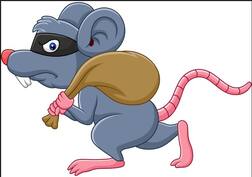 ਪਹਿਲਾਂ ਚੂਹੇ ਨੇ ਪੀਤੀ ਸਰਕਾਰੀ ਦਾਰੂ ਫੇਰ ਹੜੱਪੇ ਕੀਮਤੀ ਹੀਰੇ