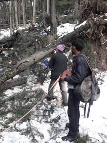 ਬਰਫ਼ਬਾਰੀ ਨਾਲ ਸੇਬਾਂ ਦੀ ਫ਼ਸਲ ਦਾ ਭਾਰੀ ਨੁਕਸਾਨ, ਕਈ ਥਾਵਾਂ ਦਾ ਸੰਪਰਕ ਟੁੱਟਿਆ