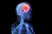 ਡਾਕਟਰ ਭੁੱਲੇ ਮਰੀਜ਼ ਨੂੰ ਬਿਮਾਰੀ ਬਾਰੇ ਦੱਸਣਾ, 19 ਮਹੀਨੇ ਬਾਅਦ ਪਤਾ ਲੱਗਾ ਤਾਂ....