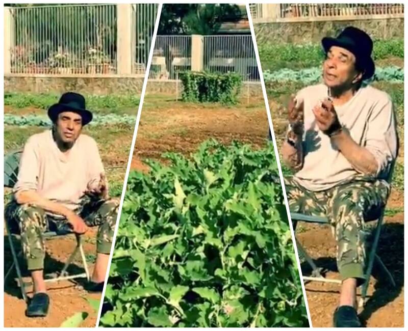 dharmendra-enjoying-farming-in-his-farm-field-video-viral-on-internet ਧਰਮਿੰਦਰ ਨੇ ਸ਼ੇਅਰ ਕੀਤੀ ਇੱਕ ਹੋਰ ਵੀਡੀਓ ‘ਚ ਕਿਸਾਨਾਂ ਨੂੰ ਦਿੱਤਾ ਸੁਨੇਹਾ