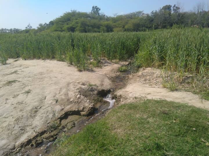 ਪਰ ਹਾਲੇ ਵੀ ਦਰਿਆਵਾਂ ਦੇ ਪਾਣੀਆਂ ਵੱਲ ਕੁਝ ਖ਼ਾਸ ਧਿਆਨ ਨਹੀਂ ਦਿੱਤਾ ਜਾ ਰਿਹਾ। ਪੰਜਾਬ ਦੇ ਬਿਆਸ ਦਰਿਆ ਵਿੱਚ ਖੁੱਲ੍ਹੇਆਮ ਪਿੰਡਾਂ ਦਾ ਗੰਦਾ ਪਾਣੀ ਵਹਾਇਆ ਜਾ ਰਿਹਾ ਹੈ।