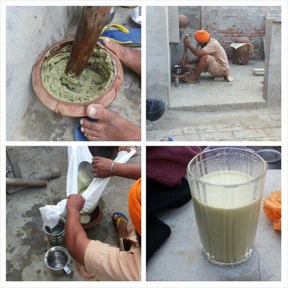 ਭੰਗ ਦੇ ਨੁਕਸਾਨ ਤੋਂ ਬਚਣਾ ਤਾਂ ਪੱਲੇ ਬੰਨ੍ਹੋ ਇਹ ਗੱਲਾਂ