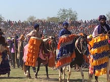 \'ਓਰਨ ਕੀ ਹੋਲੀ ਮਮ ਹੋਲਾ\', ਵੇਖੋ ਹੋਲੇ-ਮੁਹੱਲੇ ਦੀਆਂ ਖੂਬਸੂਰਤ ਤਸਵੀਰਾਂ