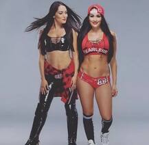 ਰੈਸਲਰ ਨਿੱਕੀ ਬੈਲਾ ਨੇ ਕੀਤਾ ਵੱਡਾ ਐਲਾਨ