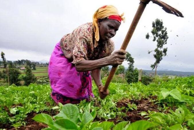 ਹਾਲ ਹੀ ‘ਚ ਲਿਆ ਇਹ ਫੈਸਲਾ ਮੋਨਸੈਂਟੋ ਲਈ ਦੂਜਾ ਸਖ਼ਤ ਕਾਨੂਨੀ ਫੈਸਲਾ ਸੀ ਕਿਉਂਕਿ ਇਸ ਨਾਲ ਪੂਰਬੀ ਕੈਲੀਫੋਰਨੀਆ ਦੇ ਸਕੂਲ ਗ੍ਰਾਂਉਡਕੀਪਰ ਵੱਲੋਂ ਦਾਇਰ ਮੁਕੱਦਮਾ ਕੰਪਨੀ ਹਾਰ ਚੁੱਕੀ ਹੈ।