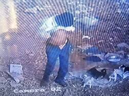 ਕਤੂਰਿਆਂ ਨਾਲ ਬਲਾਤਕਾਰ ਕਰਨ ਵਾਲਾ ਸੀਸੀਟੀਵੀ 'ਚ ਕੈਦ