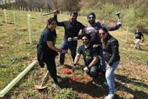 ਬਾਬਾ ਨਾਨਕ ਦੇ 550ਵੇਂ ਪ੍ਰਕਾਸ਼ ਪੁਰਬ ਮੌਕੇ ਪਰਵਾਸੀ ਸਿੱਖ ਸਿਰਜਣਗੇ ਇਤਿਹਾਸ