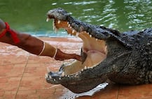 ਬੰਦੇ ਨੇ ਪਾਈ ਮਗਰਮੱਛ ਨਾਲ ਯਾਰੀ, ਵੇਖੋ ਖ਼ਤਰਨਾਕ ਤਸਵੀਰਾਂ