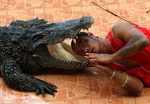 ਬੰਦੇ ਨੇ ਪਾਈ ਮਗਰਮੱਛ ਨਾਲ ਯਾਰੀ, ਵੇਖੋ ਖ਼ਤਰਨਾਕ ਤਸਵੀਰਾਂ